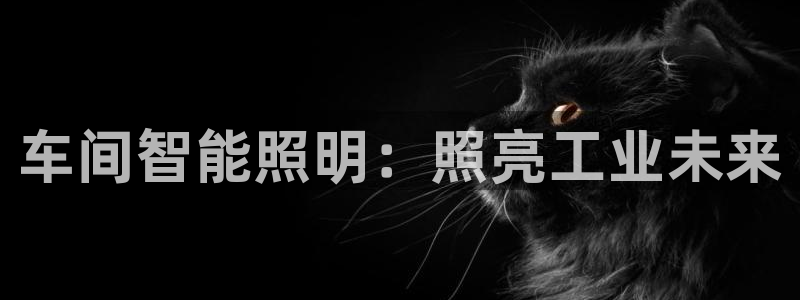 云顶7610最新