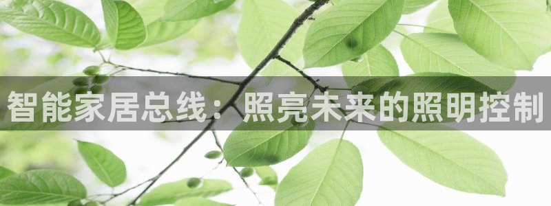 云顶国际--行业领导品牌