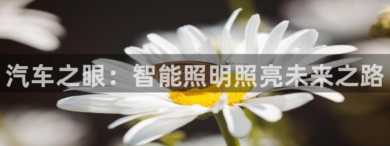 云顶集团老总是谁