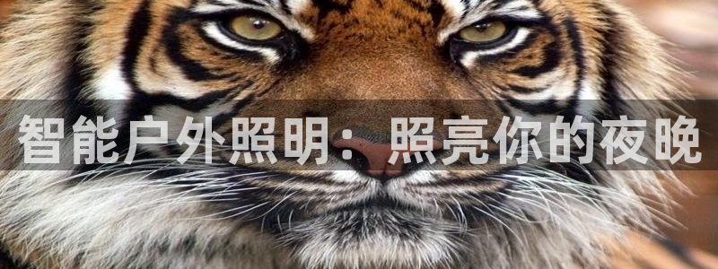 云顶国际公馆在哪个区
