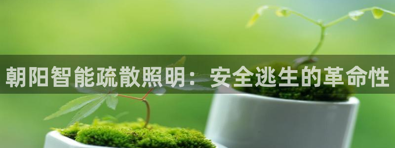 云顶国际体育
