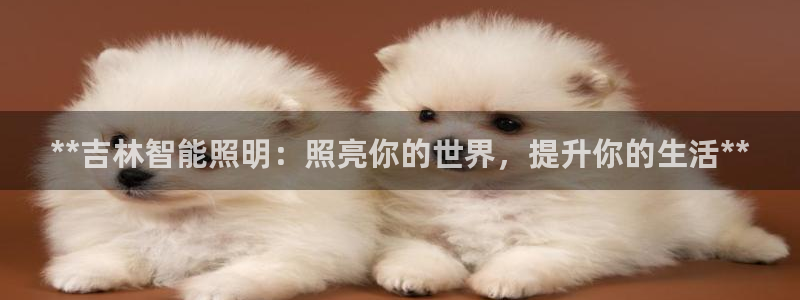 云顶集团app推荐agla