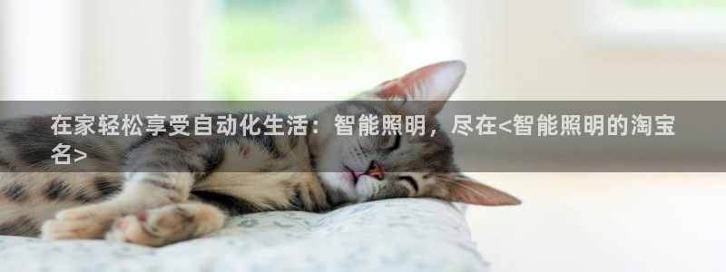 云顶国际老板是谁呀