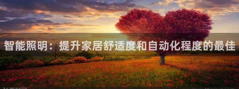 云顶国际足球app下载