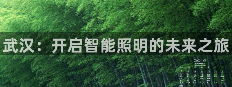 云顶国际集团 深圳