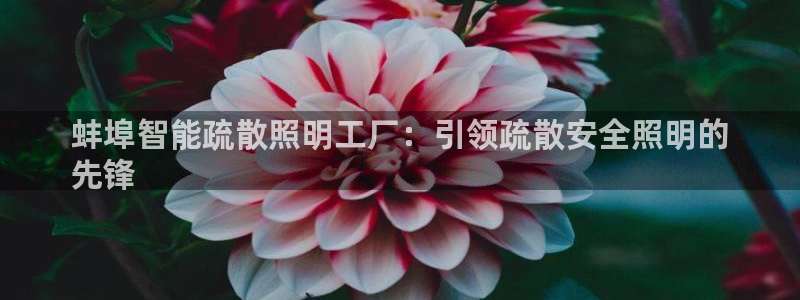 云顶国际是什么充值安全吗