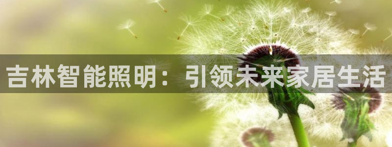 云顶国际电子游戏