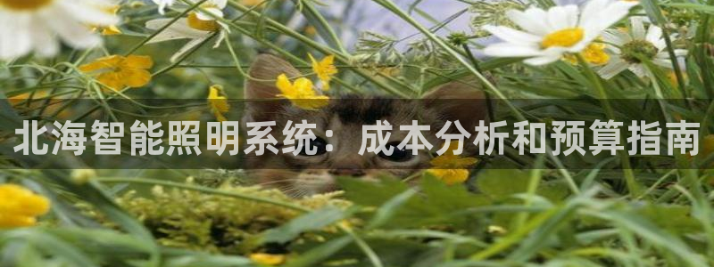 云顶国际下载