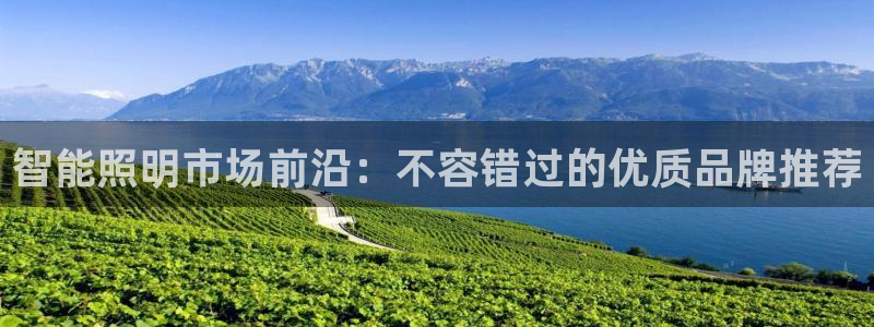 云顶国际软件官网下载