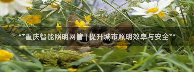 云顶国际集团开发有限公司