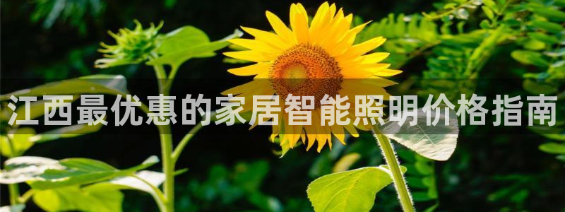 云顶国际下载