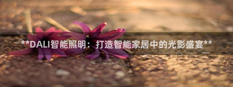 奉化云顶国际ktv