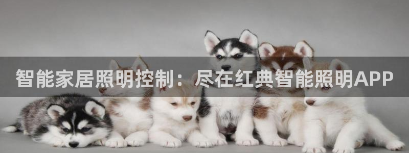 云顶国际app官方下载安装手机版