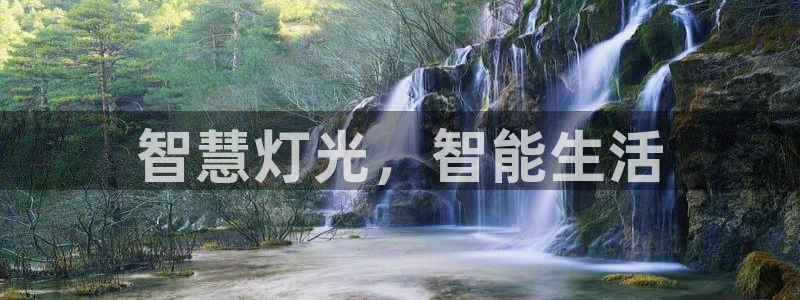 云顶国际平台游戏官网