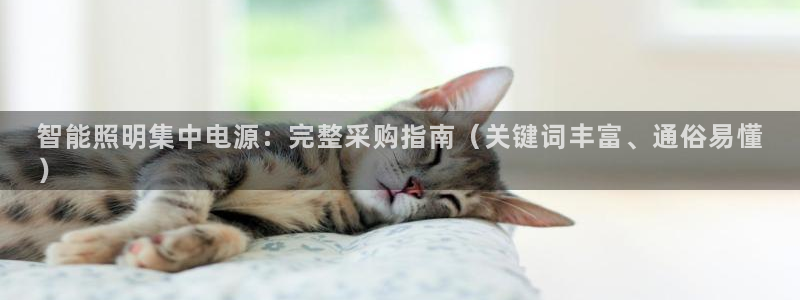 云顶集团公司董事长是谁