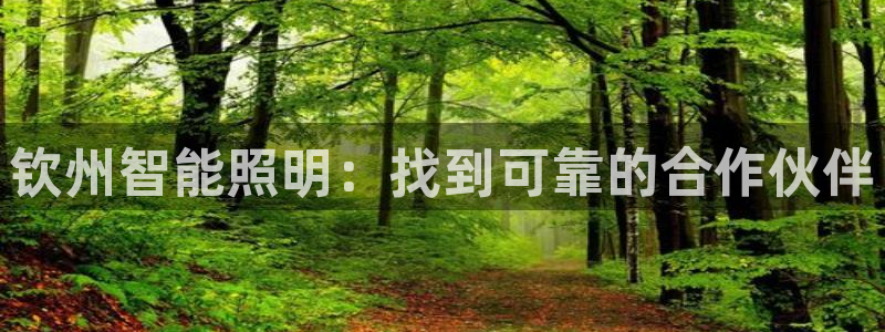 云顶集团网站安全吗