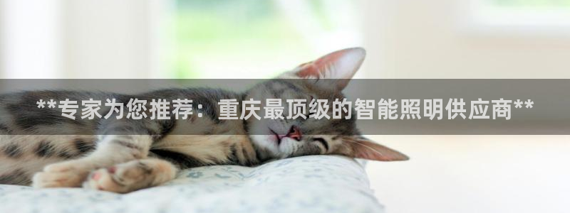 云顶国际服