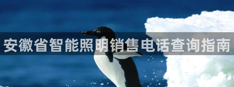 云顶国际AB网