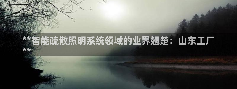 云顶国际(集团)开发实业有限公司