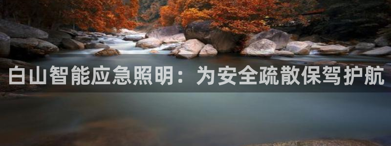 云顶国际房地产有限公司