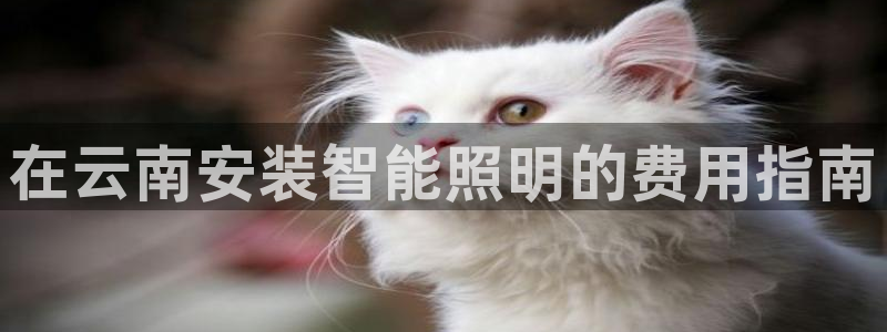 云顶国际黑网不出款