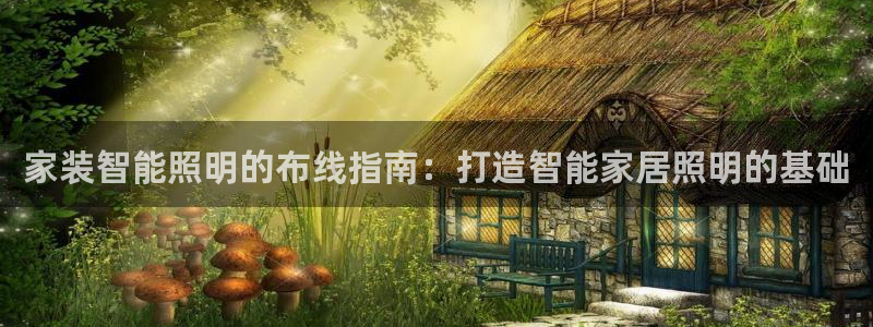 云顶国际软装公司怎么样啊