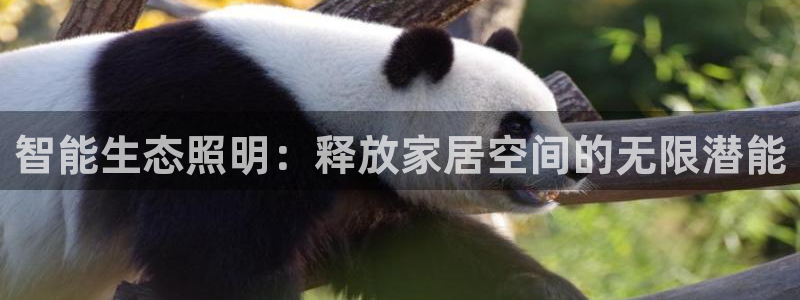 云顶集团总裁
