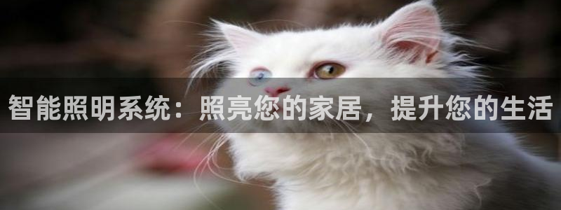 云顶国际酒店电话