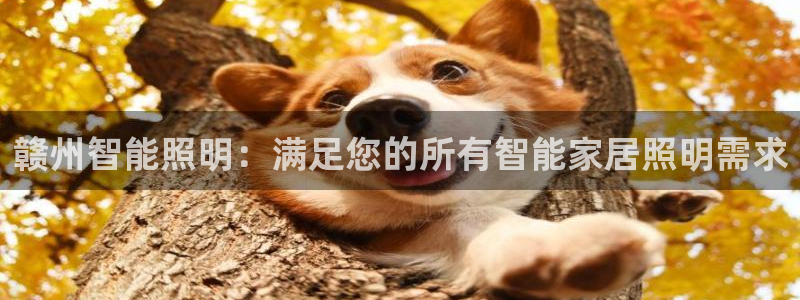 云顶国际提现多久到账啊