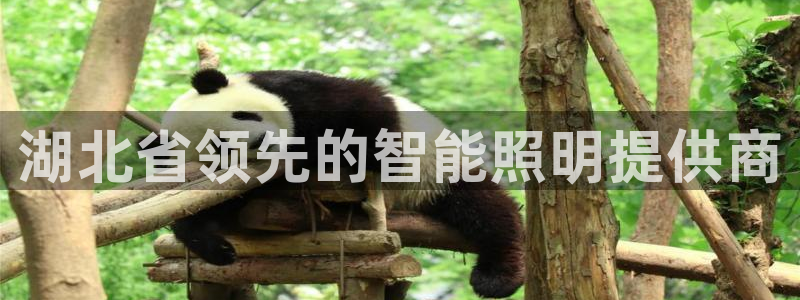云顶国际服官网