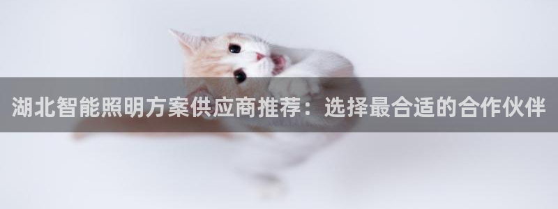 云顶国际服s11什么时候更新