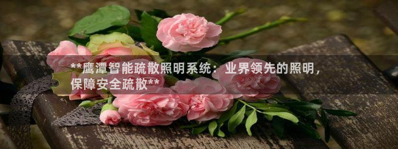 云顶集团在中国上市了吗