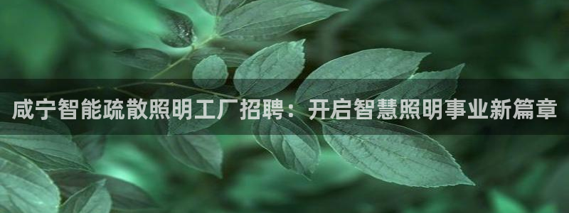 云顶国际酒店老板是谁