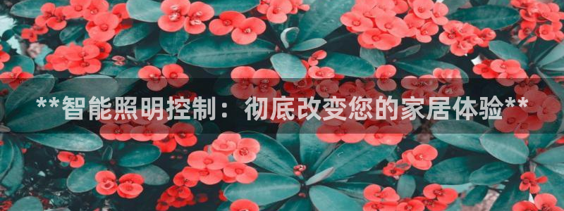 云顶国际存款