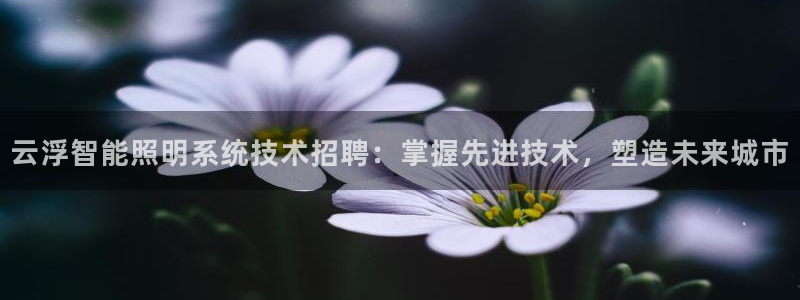 12311云顶线路检测