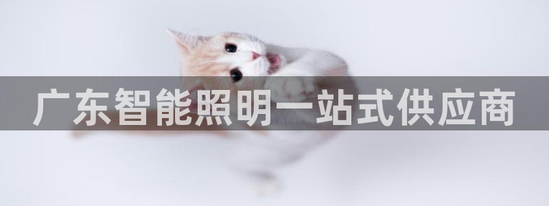 云顶国际能提现吗知乎