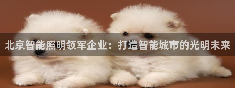云顶国际服