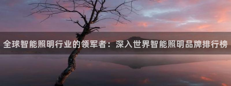 云顶集团3118app功能