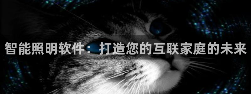 云顶国际服s11