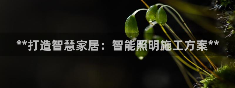 云顶集团中国区