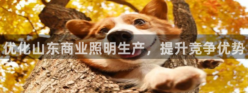 云顶国际区块链怎么样