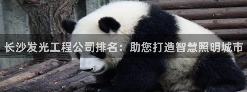 云顶国际服是哪个服