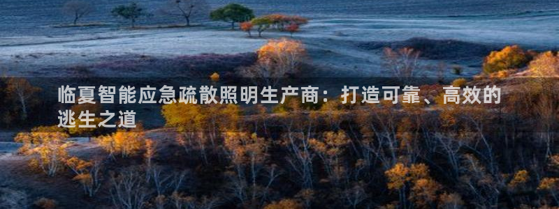 云顶集团有限公司官网