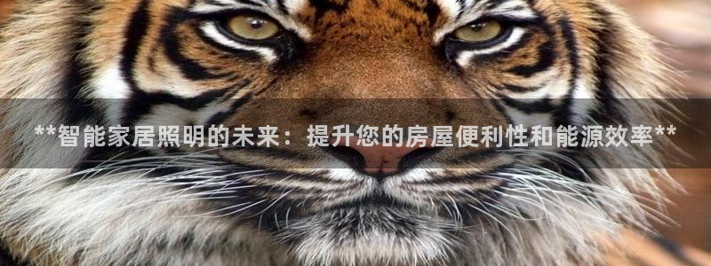云顶集团下载