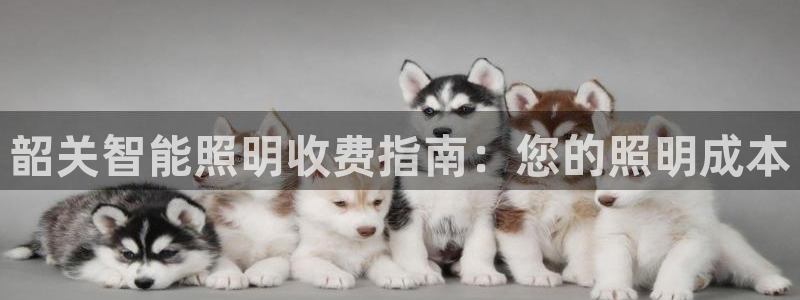 云顶国际滑雪场开放时间