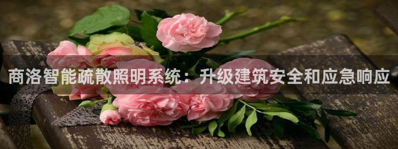 云顶国际服名字不可用