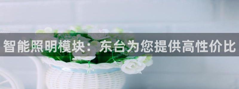 云顶国际二手房