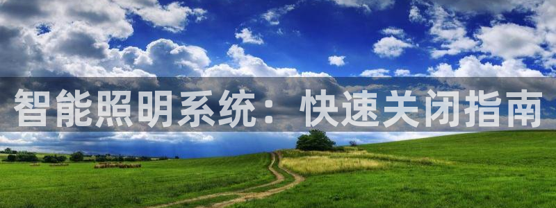 云顶集团有限公司简介概况