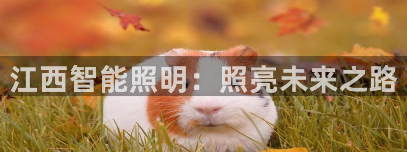 云顶国际yun588