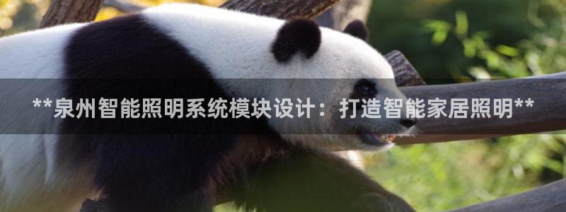 云顶国际软件